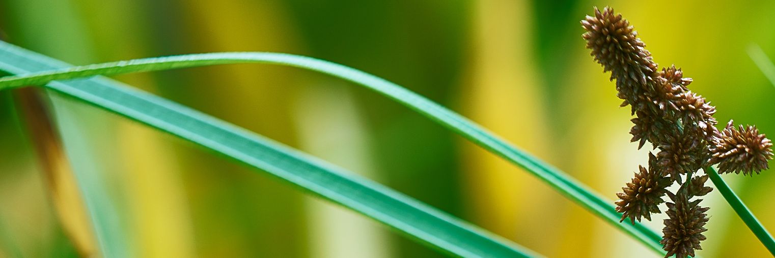 LensNPaperRebel's profile banner image