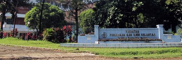 fpik ipb banner