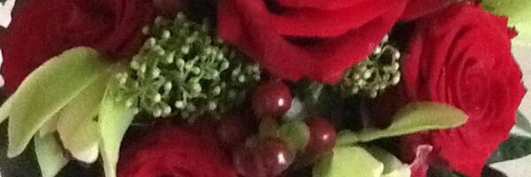 sciencesub Profile Banner