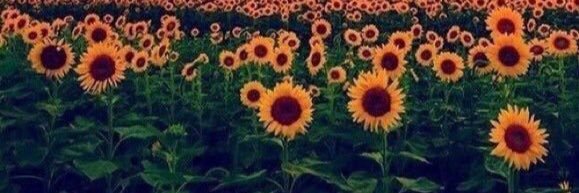 _kybry's profile banner image