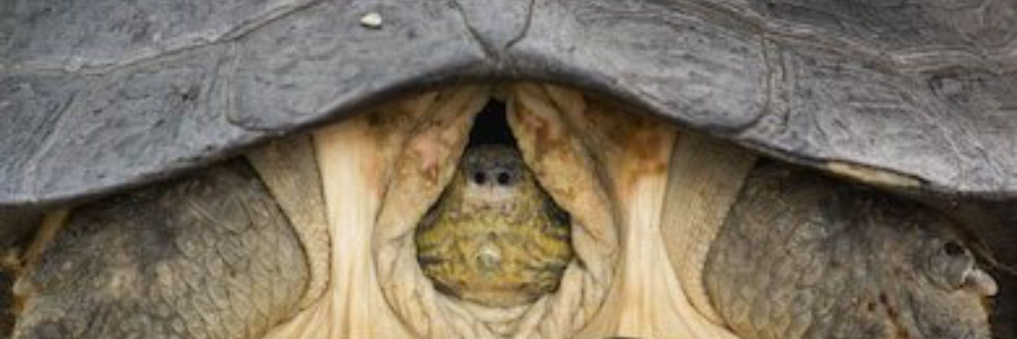 jarggins's profile banner image