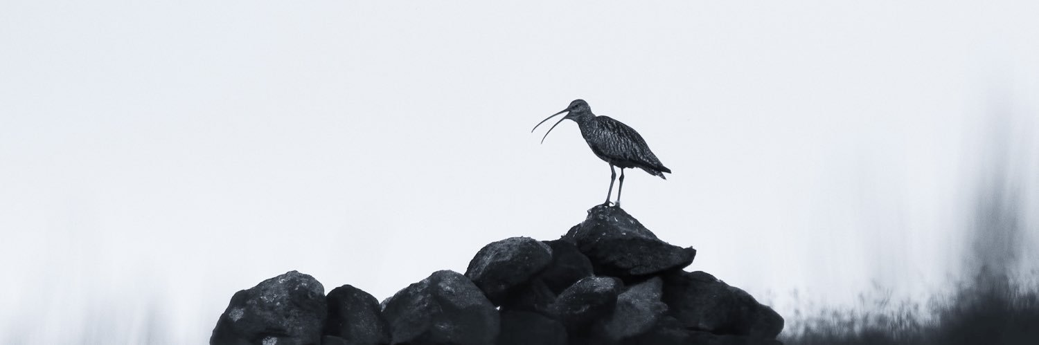 KateHaslegrave1's profile banner image