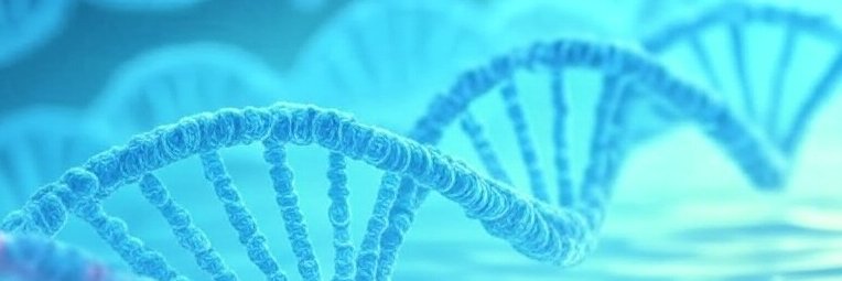 Ildus I. Ahmetov banner