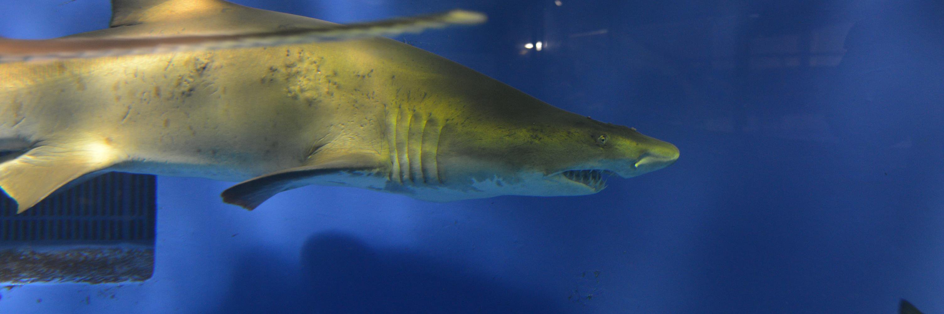 お1000@求職中 banner