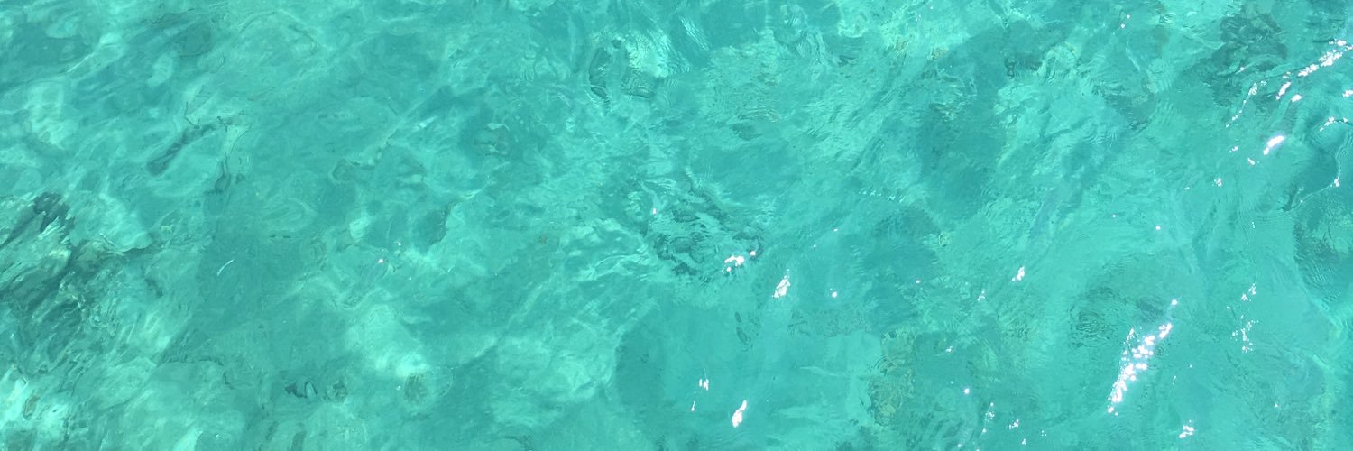 Capucine Gatuingt banner