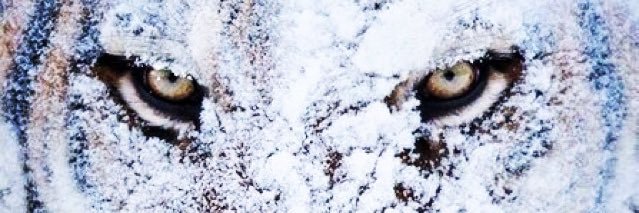 bboy64_colt's profile banner image