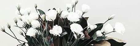 fidyanovi's profile banner image