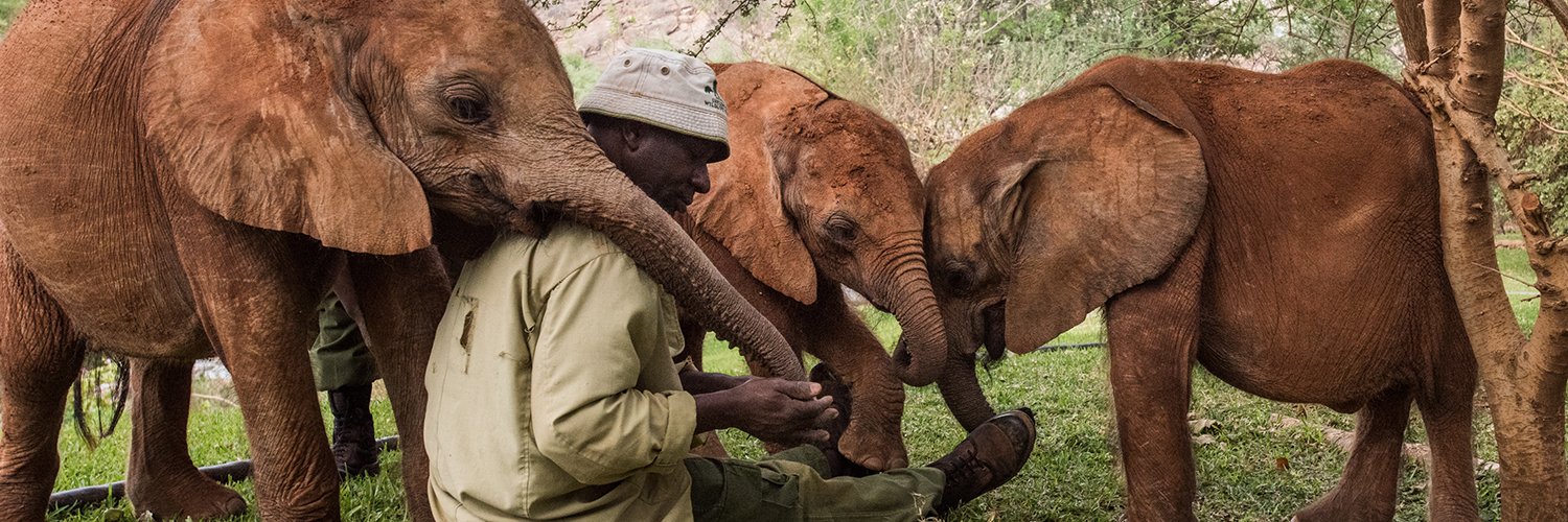 Sheldrick Wildlife Trust's banner