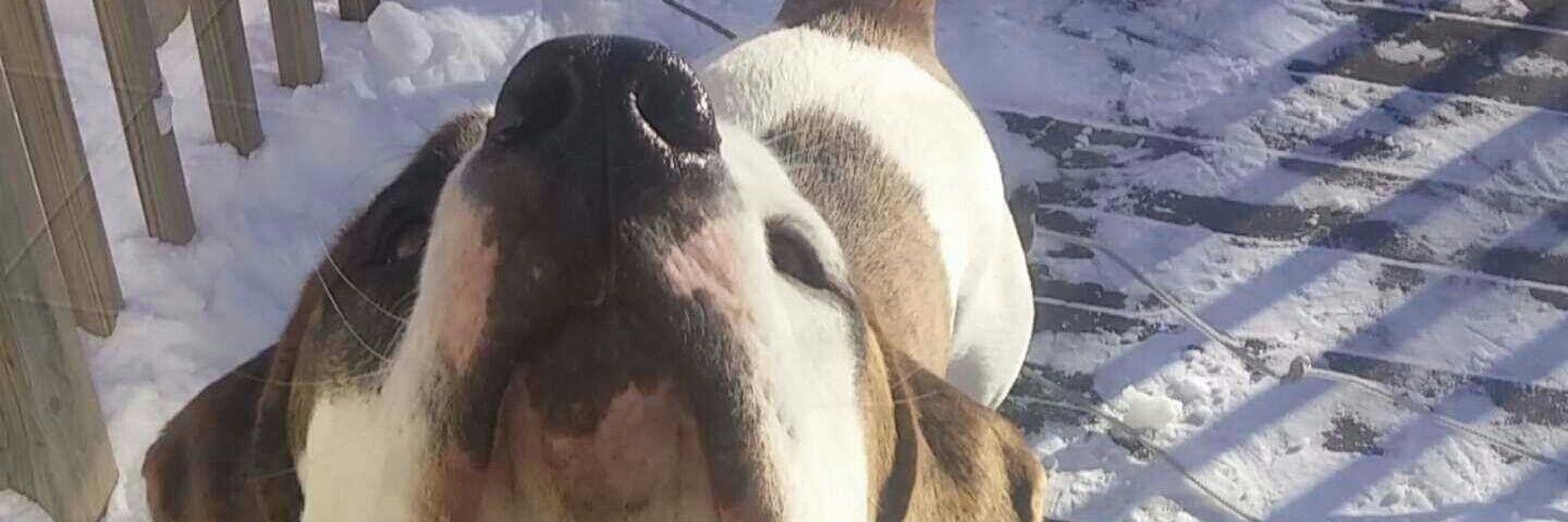 Jaspenwall_'s profile banner image