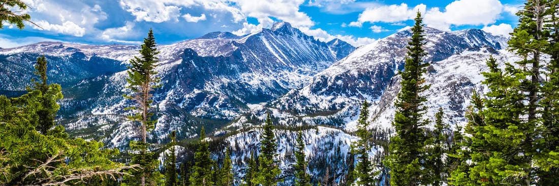 Peter T Young banner