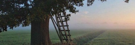 BobbieFitzgera's profile banner image