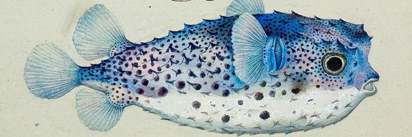 BlottiereM Profile Banner