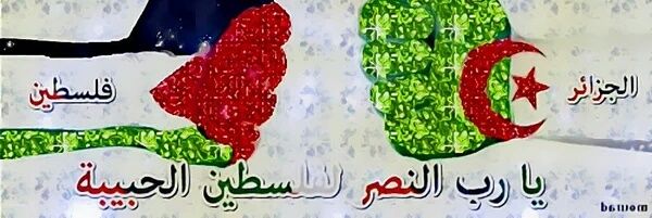 sisibiz's profile banner image