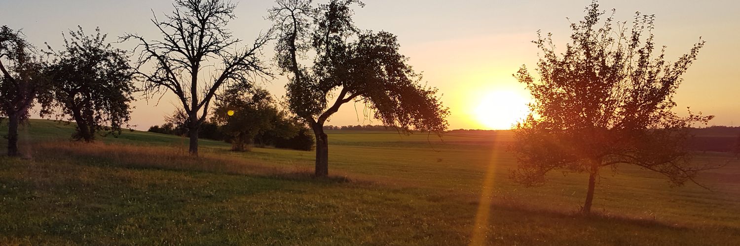 stetam's profile banner image