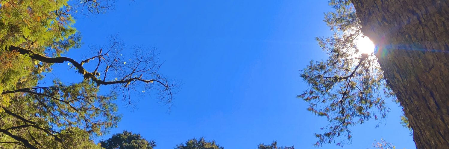 haohaoka's profile banner image