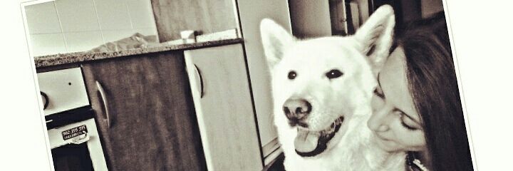 16_tjr's profile banner image