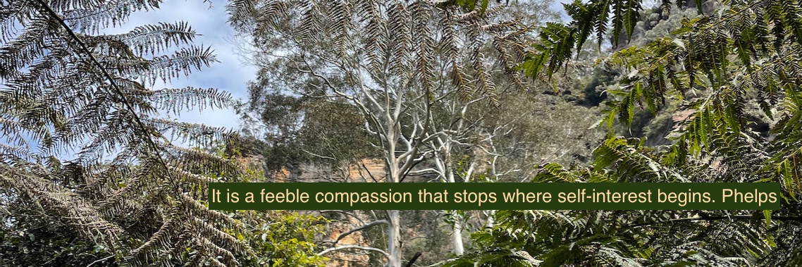 VeganRoo banner