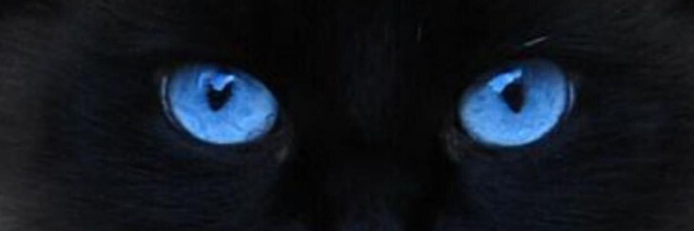 _chicca78's profile banner image