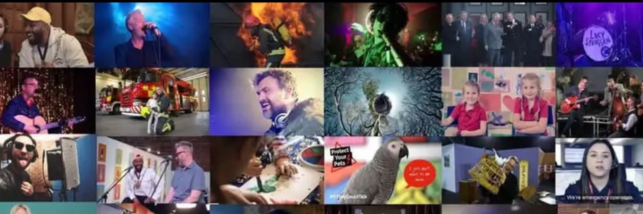 Cuckoo Films 🎥 banner