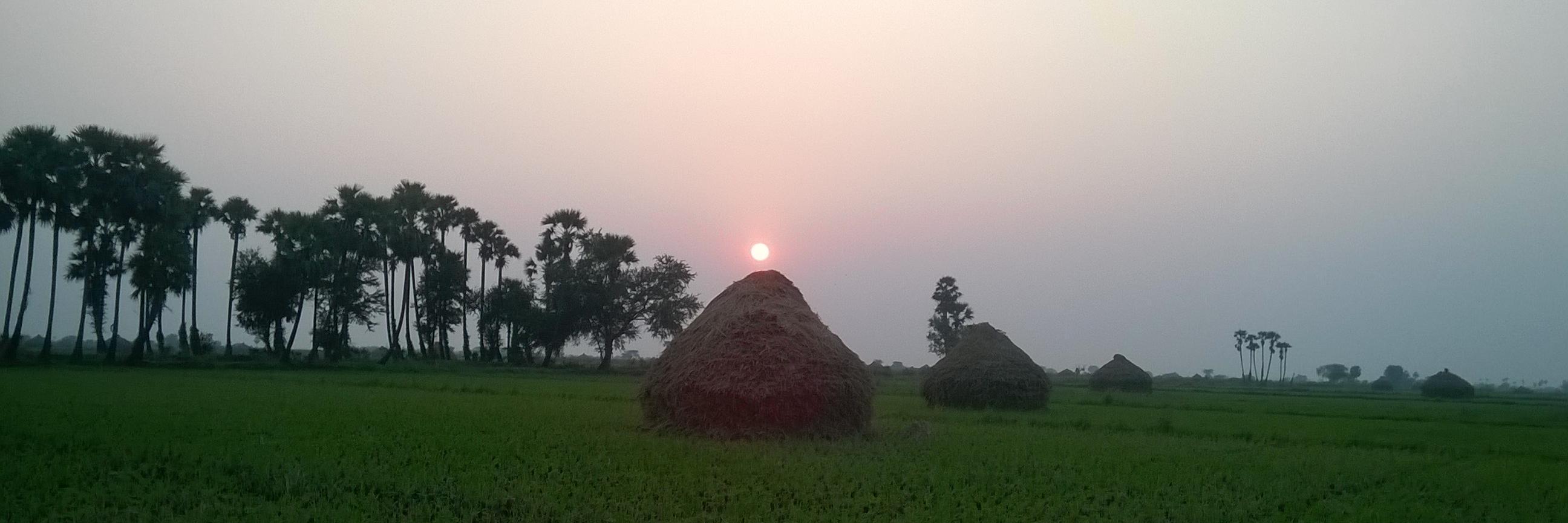 nikilesh79's profile banner image