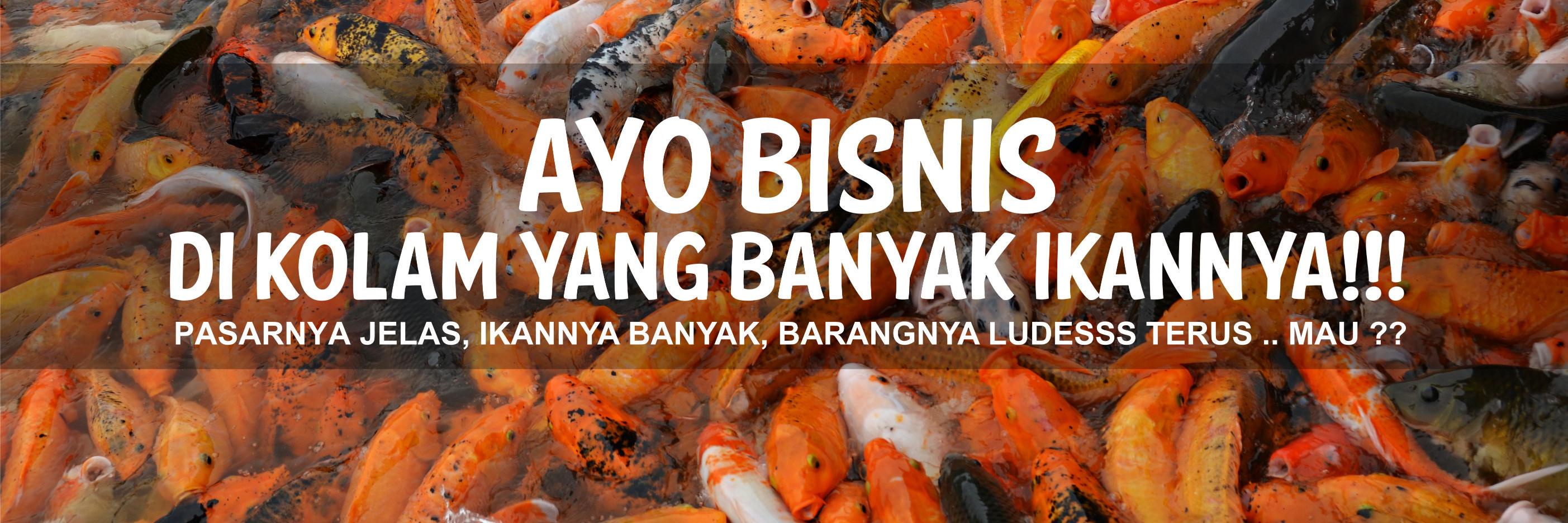 MULTIFUNGSI NO 1 banner