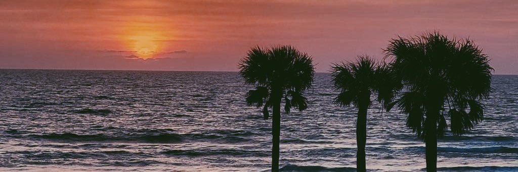 Austin Roccaforte banner