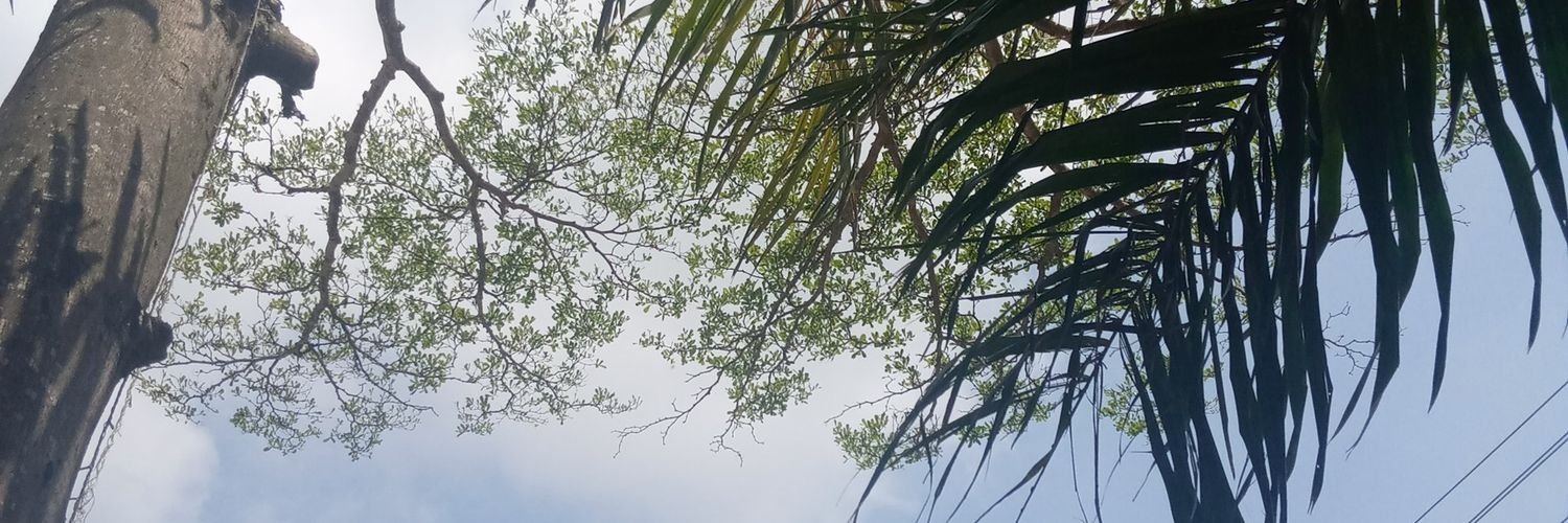 TJAgude's profile banner image