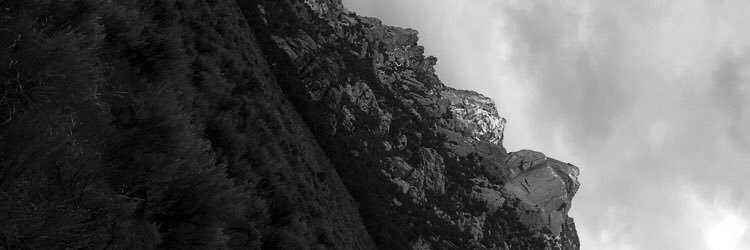 Megan_Sunny's profile banner image