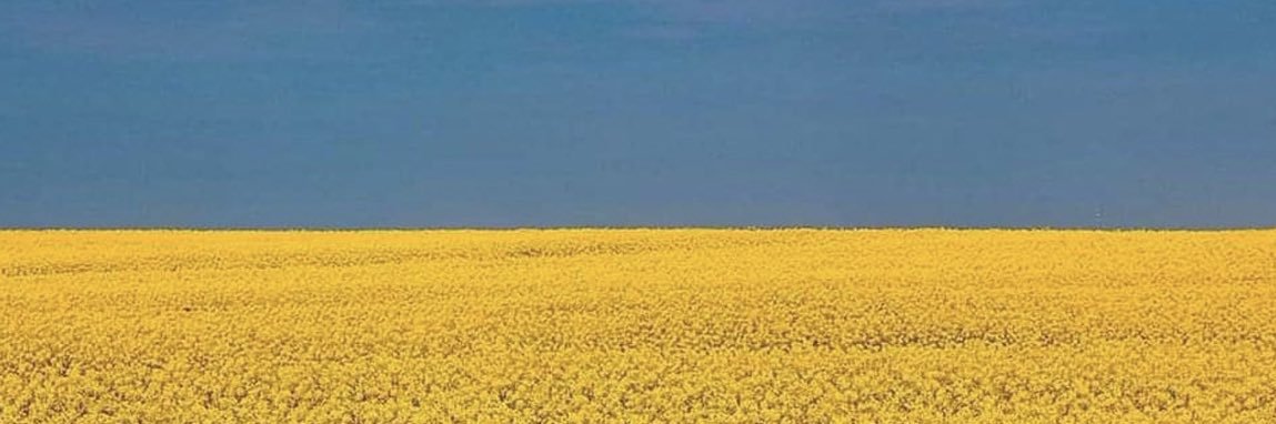 mlbauers's profile banner image