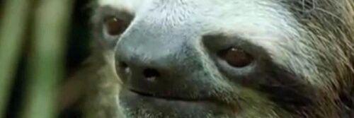 SpyChickGaming's profile banner image