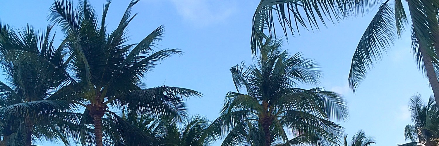 LexBranton's profile banner image