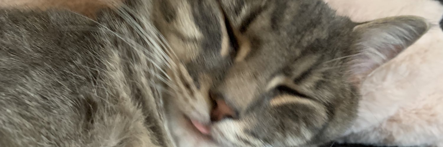savy_b34r's profile banner image