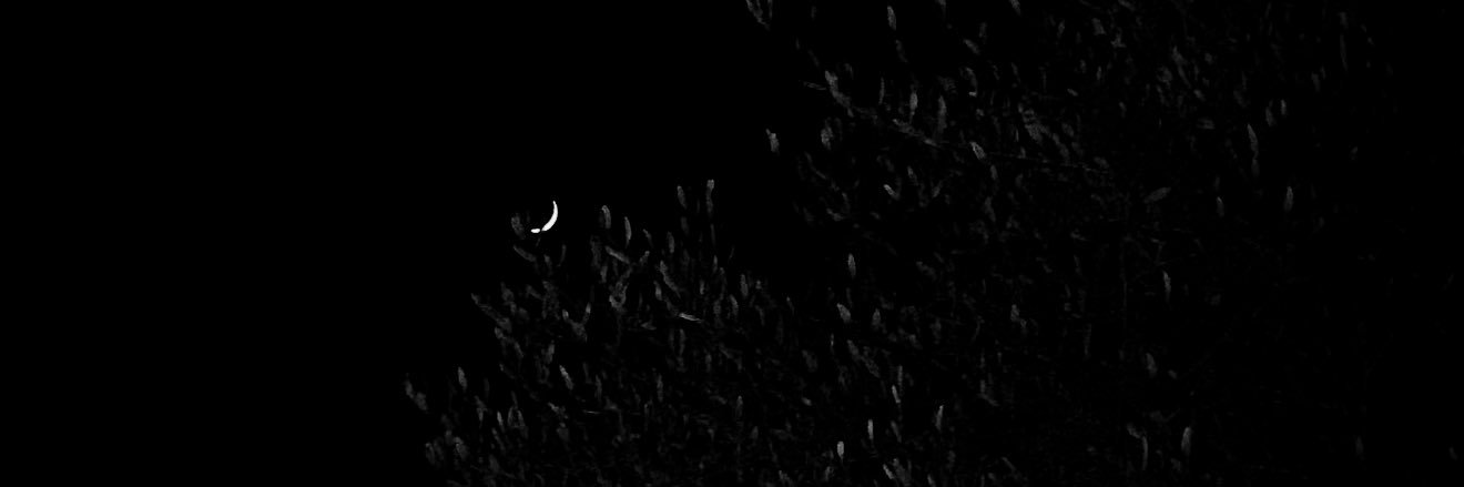 𝒵 banner