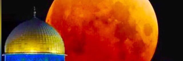 NazmiArqan's profile banner image