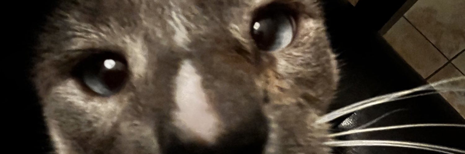 rey banner