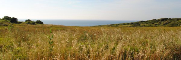 mkmetts Profile Banner