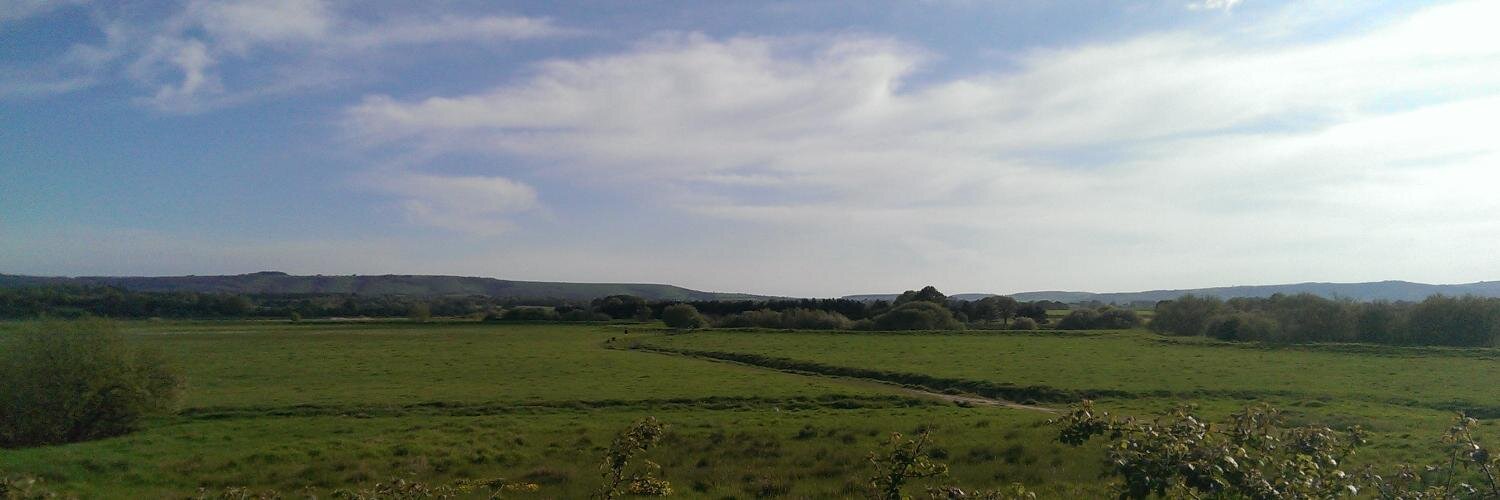Pulborough banner