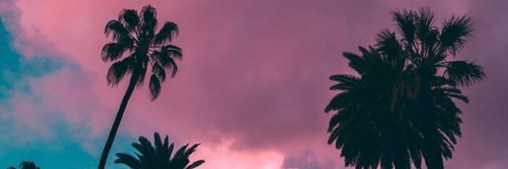 LUISA FERNANDA🌟 banner