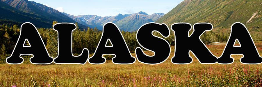 TheMoose963's profile banner image