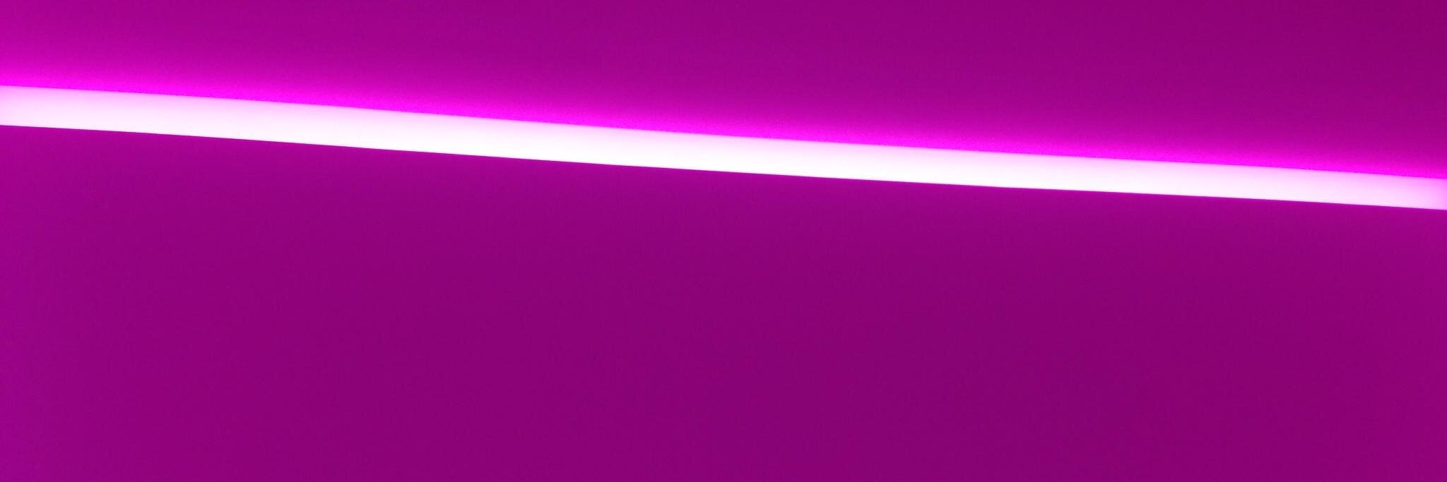 Audra Bee banner