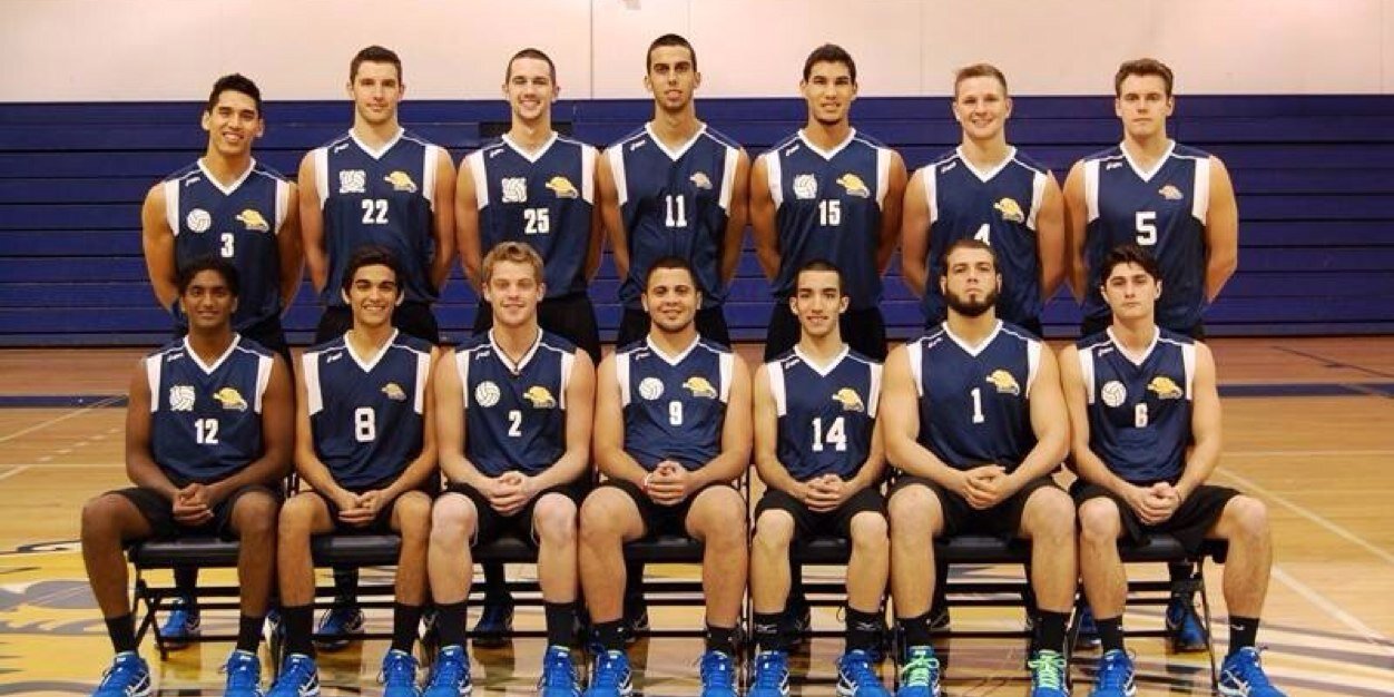 Warner Volleyball banner