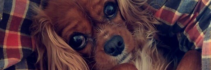 emma_rynn's profile banner image