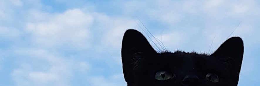 _gatanas_'s profile banner image