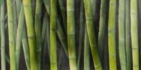MGaiotti's profile banner image