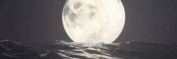 wisyblinks Profile Banner