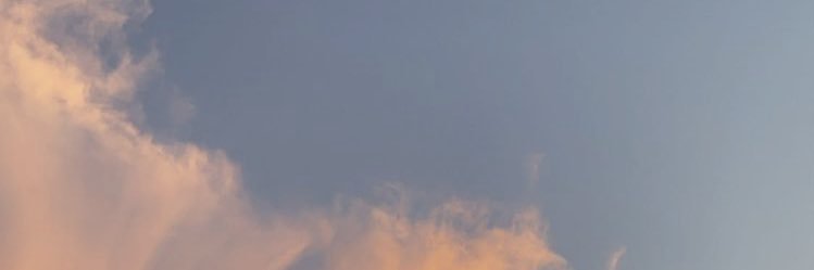 MQMALDONADO's profile banner image