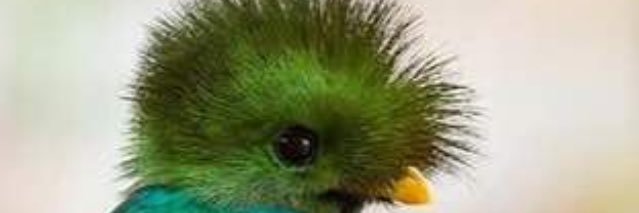hectorrojasven1's profile banner image
