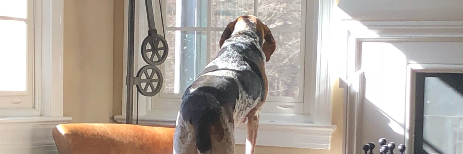 Carolyn Phillips, MD banner