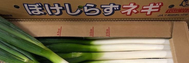 lucky✭ banner