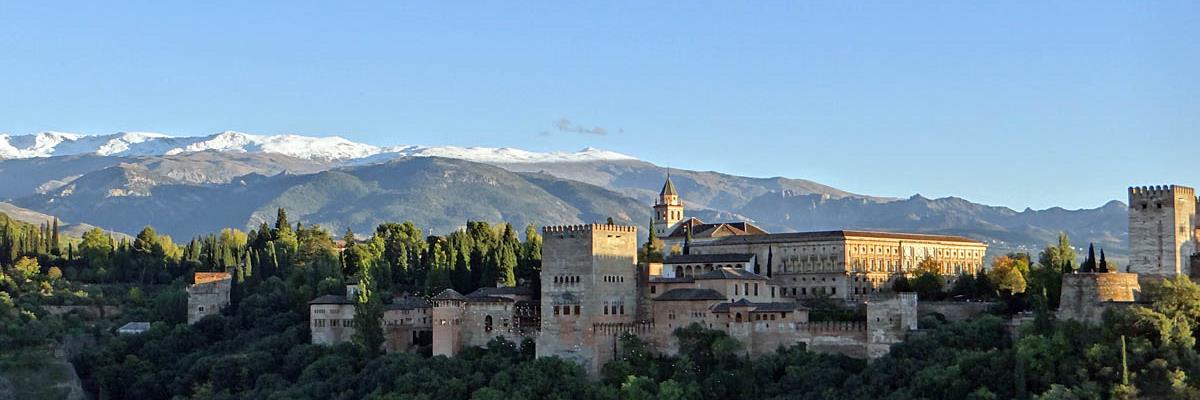 Remedios Sánchez banner